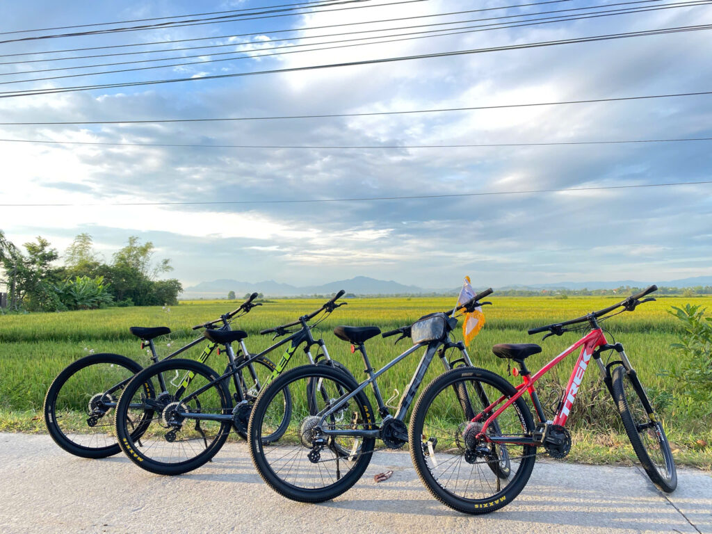MTB-BIKE-RENTAL-HUE-SMILE (14)