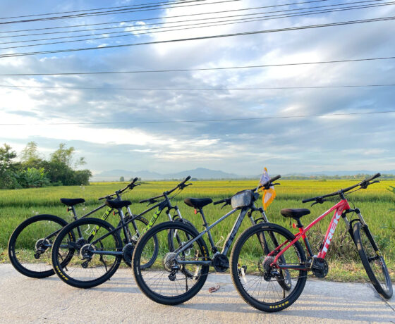 MTB-BIKE-RENTAL-HUE-SMILE (14)