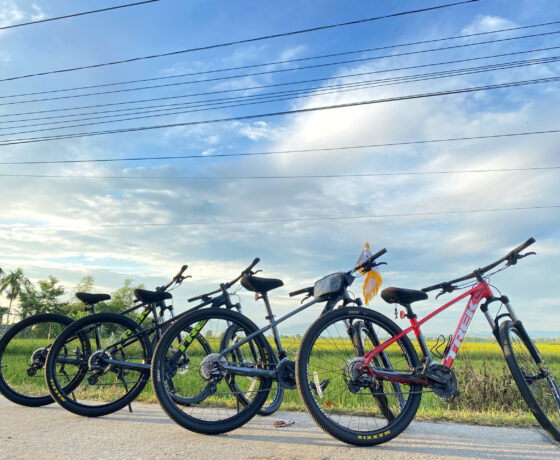 MTB-BIKE-RENTAL-HUE-SMILE (15)