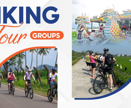 biking tour groups