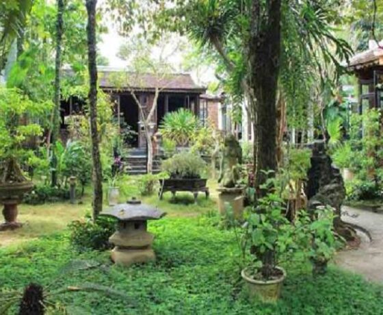 Y Thao Garden House